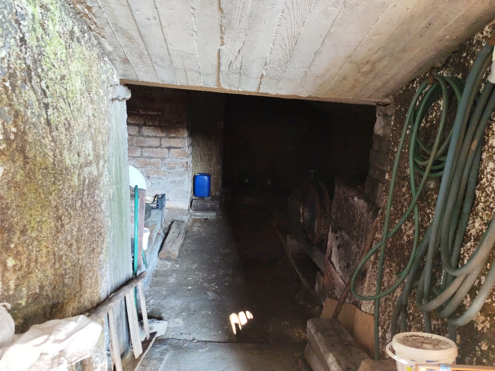 Struttura Indipendente in vendita a Bomarzo, Bomarzo - Agenzia Immobiliare Viterbo - Anteprima 12