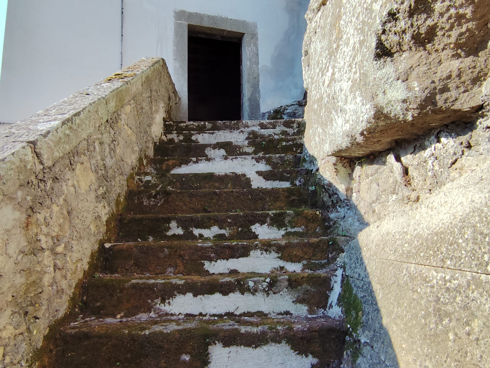 Struttura Indipendente in vendita a Bomarzo, Bomarzo - Agenzia Immobiliare Viterbo - Anteprima 13