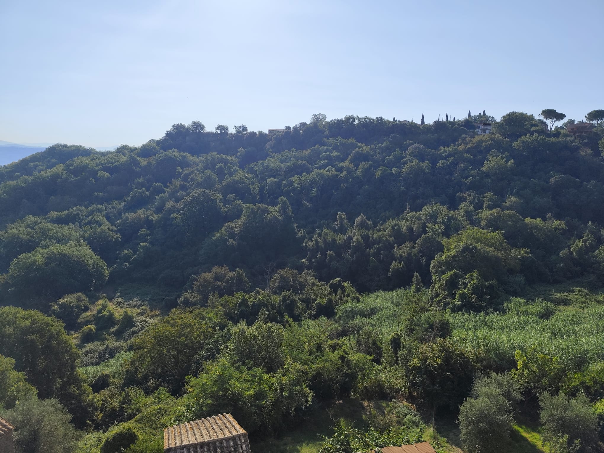 Struttura Indipendente in vendita a Bomarzo, Bomarzo - Agenzia Immobiliare Viterbo - Anteprima 25