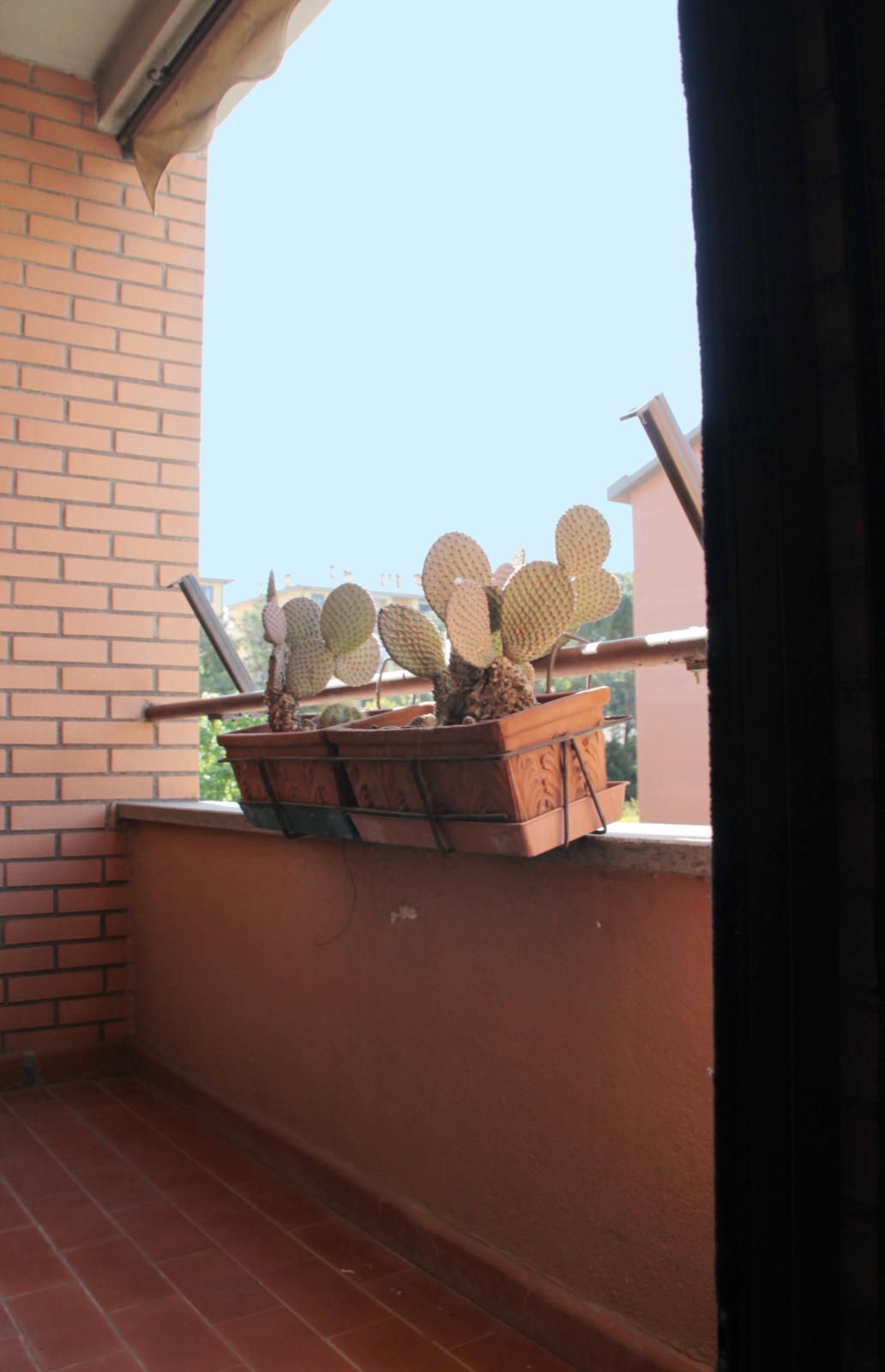 Appartamento in vendita a Santa Barbara, Viterbo - Agenzia Immobiliare Viterbo - Anteprima 35