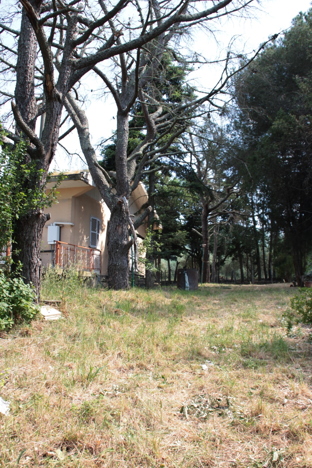 Villa in vendita a Fornacchia, Soriano nel Cimino - Agenzia Immobiliare Viterbo - Anteprima 18