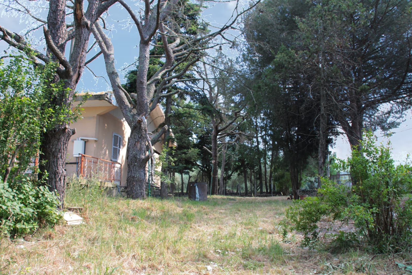 Villa in vendita a Fornacchia, Soriano nel Cimino - Agenzia Immobiliare Viterbo - Anteprima 36