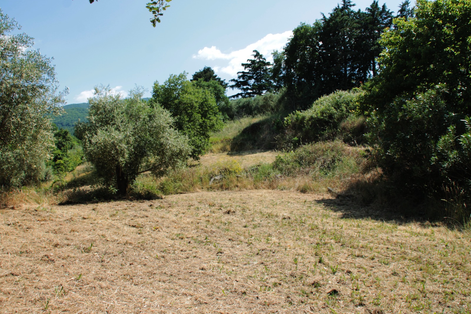 Villa in vendita a Fornacchia, Soriano nel Cimino - Agenzia Immobiliare Viterbo - Anteprima 2