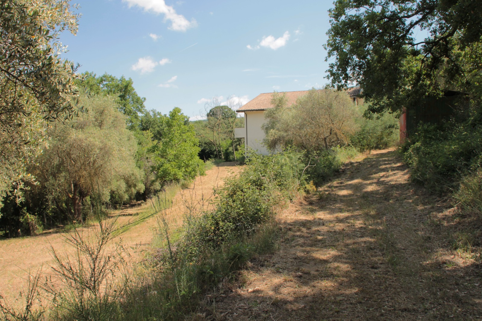 Villa in vendita a Fornacchia, Soriano nel Cimino - Agenzia Immobiliare Viterbo - Anteprima 4