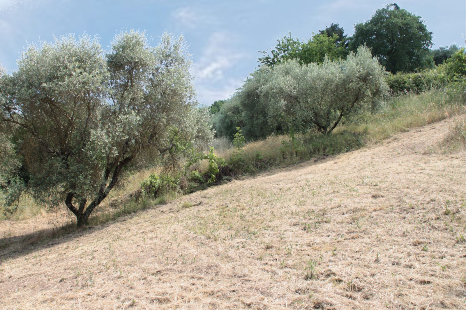 Villa in vendita a Fornacchia, Soriano nel Cimino - Agenzia Immobiliare Viterbo - Anteprima 14