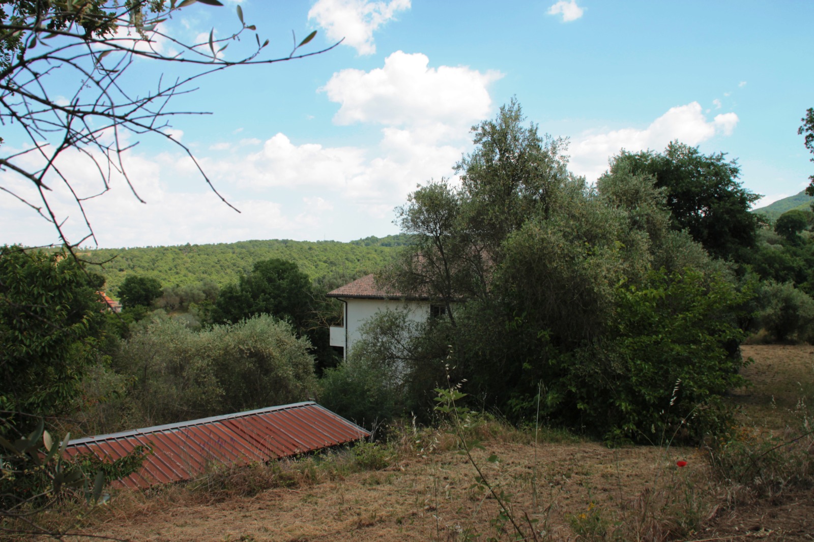 Villa in vendita a Fornacchia, Soriano nel Cimino - Agenzia Immobiliare Viterbo - Anteprima 18