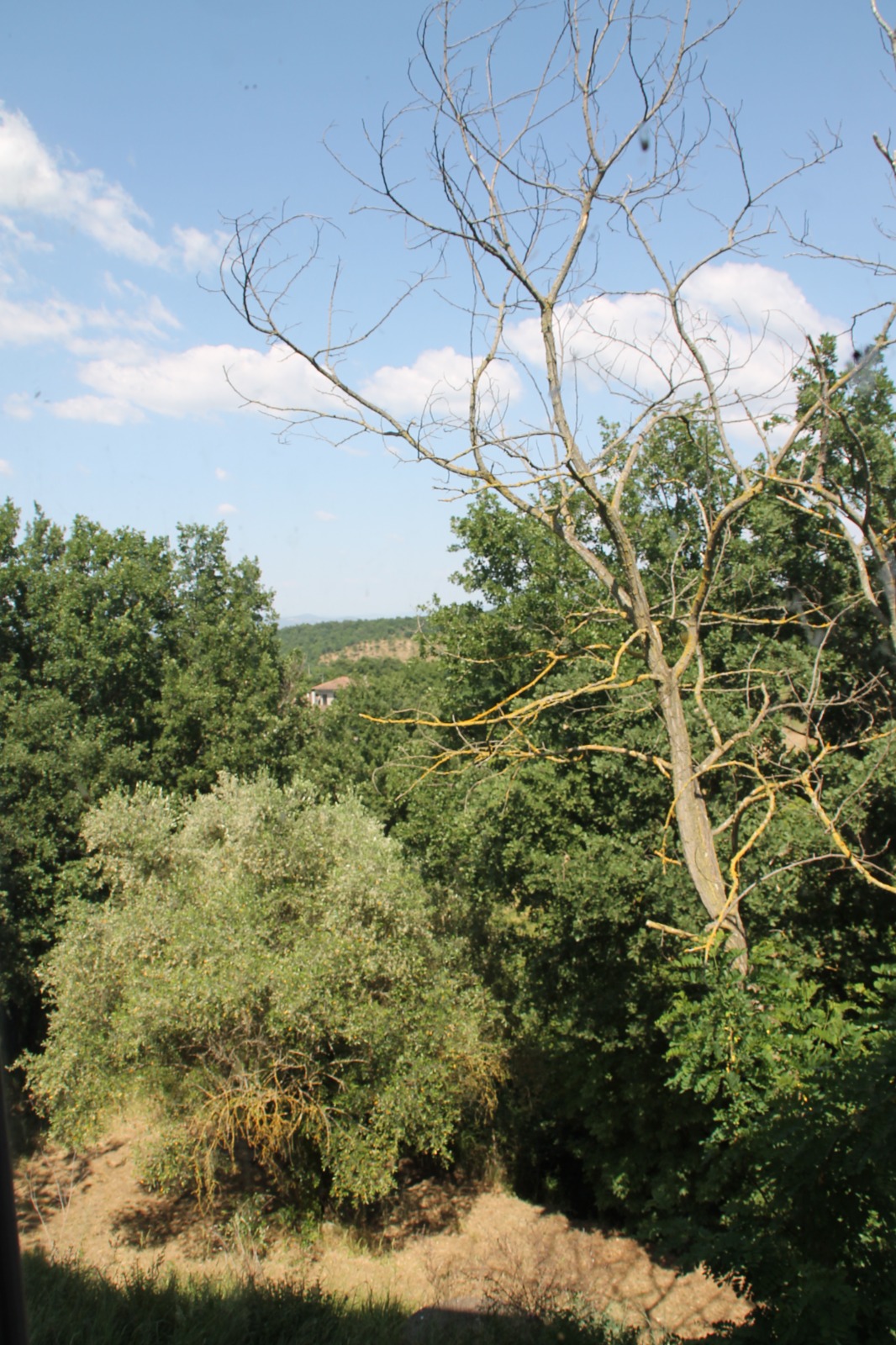 Villa in vendita a Fornacchia, Soriano nel Cimino - Agenzia Immobiliare Viterbo - Anteprima 20
