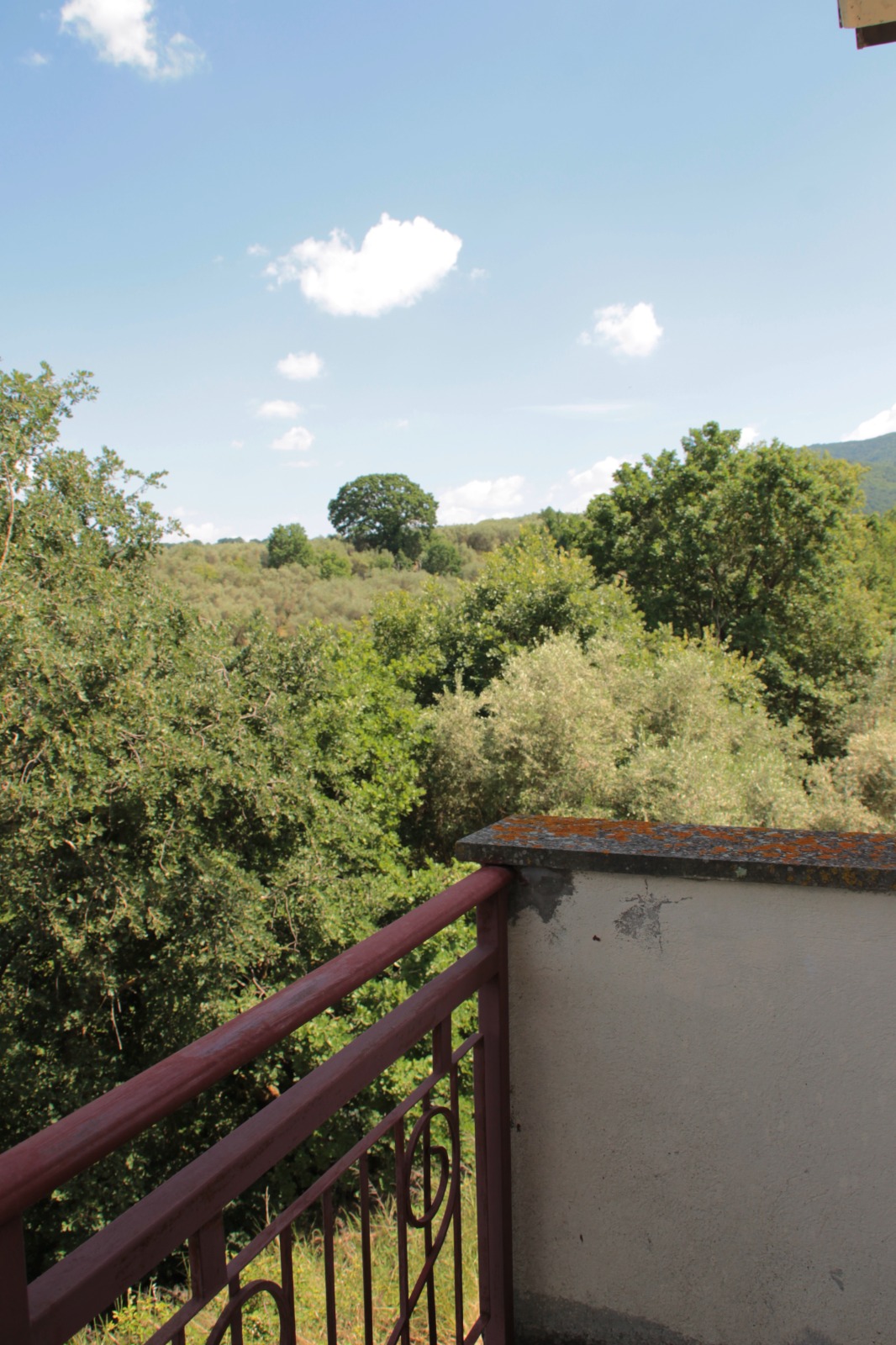 Villa in vendita a Fornacchia, Soriano nel Cimino - Agenzia Immobiliare Viterbo - Anteprima 33