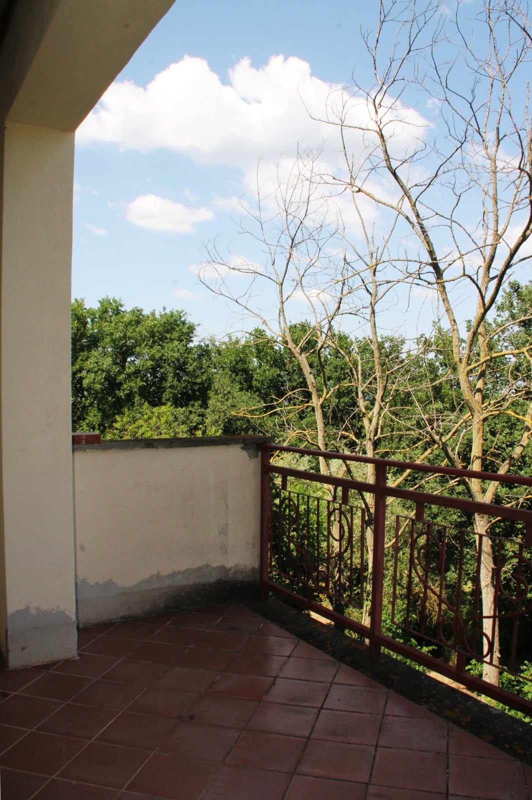 Villa in vendita a Fornacchia, Soriano nel Cimino - Agenzia Immobiliare Viterbo - Anteprima 48