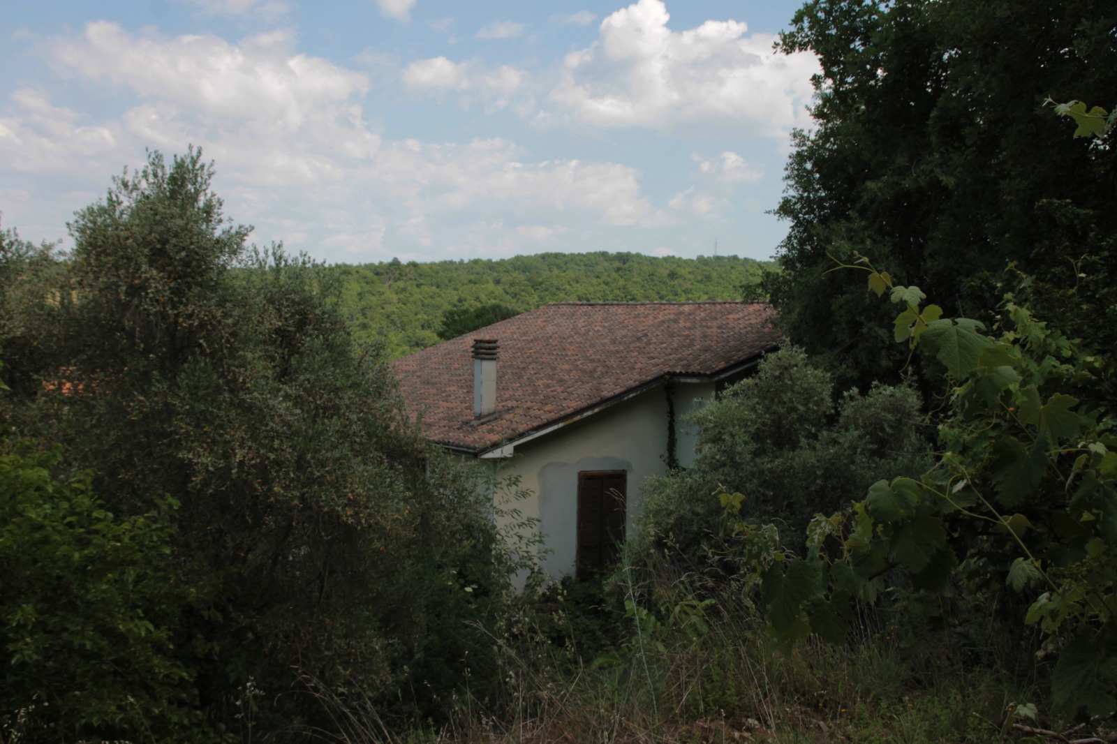 Villa in vendita a Fornacchia, Soriano nel Cimino - Agenzia Immobiliare Viterbo - Anteprima 50