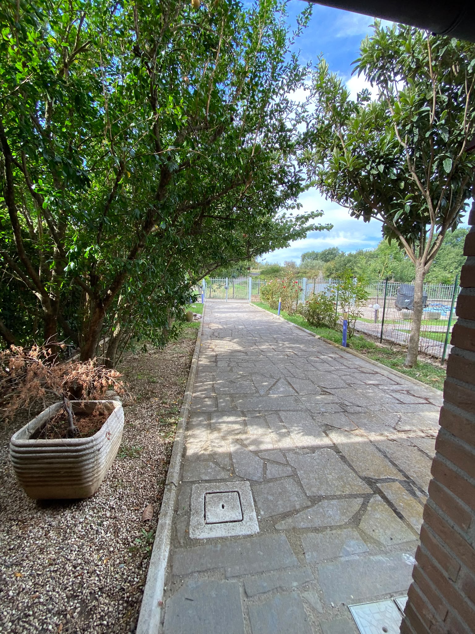 Appartamento in vendita a Vitorchiano, Viterbo - Agenzia Immobiliare Viterbo - Anteprima 14